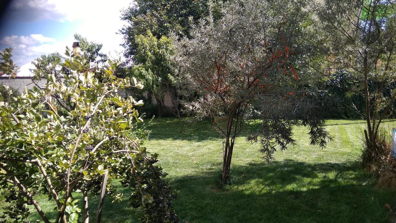 Стаи За Гости Праматарови Огняново Ognyanovo (Blagoevgrad) Exterior foto